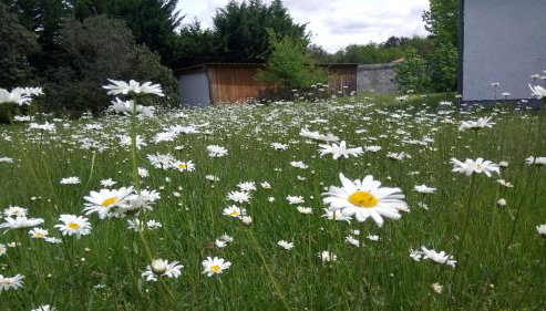 Villa Messanges (piscine & spa) - Foto 3