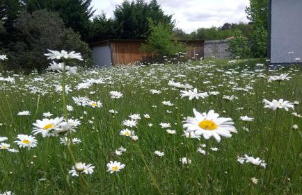 Villa Messanges (piscine & spa) - Photo 3