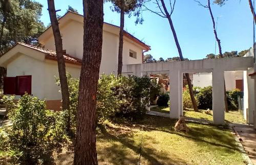 Villa immersa in pineta 100m dalla spiaggia - Foto 27