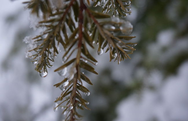 st martin chalets - Foto 58