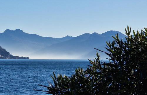 Vichi's nest - Foto 9