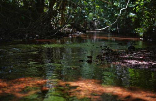 Casas Park Way - Foto 43