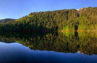 Fewo "am Mühlenbach" im Haus Hohfels, 2 Schlafzimmer, Todtnau-Muggenbrunn, Hochschwarzwald - Foto 23