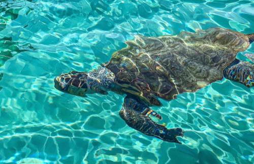 Osservatorio House - Foto 31