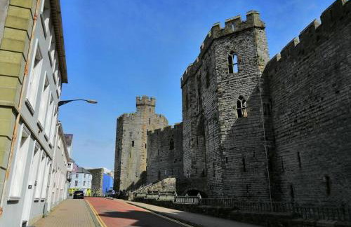 Lovely Stone Village cottage in Snowdonia - Foto 43