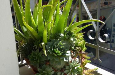 Apartamento Ábside de San Juan I - Foto 20