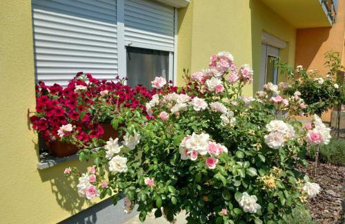 Apartman Megi & studio apartman Tomi - SELF CHECK IN - Foto 54