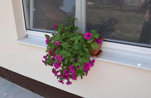 A&M studio apartman - Foto 20