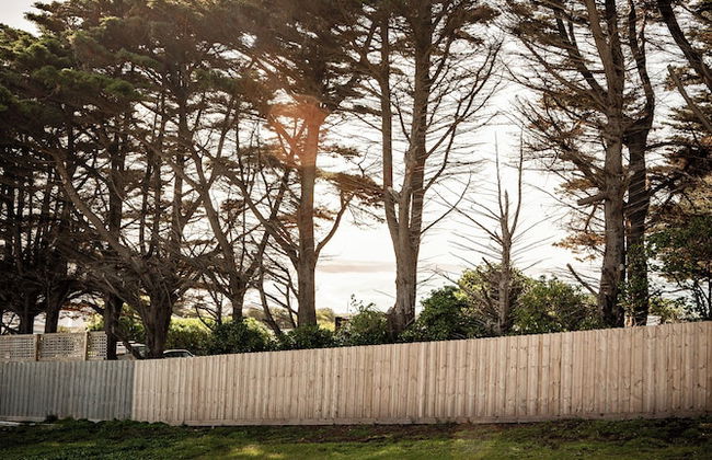 Swell At Cape Bridgewater - Foto 55