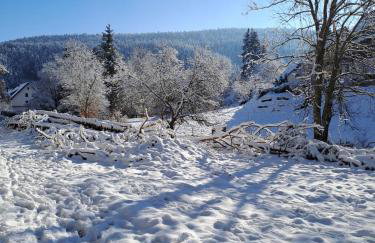 Les Papillons - Foto 11