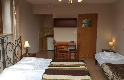 Willa Dzika Róża - Foto 29