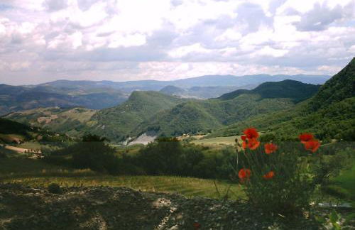La Piana Dei Castagni - Foto 27