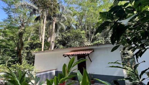 Casa na Floresta - 50 min do Rio - Foto 3