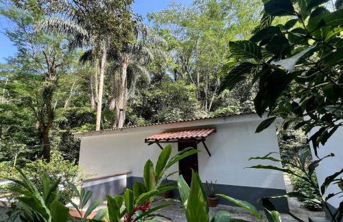 Casa na Floresta - 50 min do Rio - Foto 3