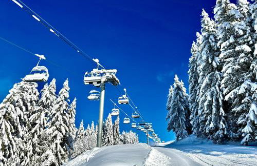 CHALET LYOBA - Photo 24