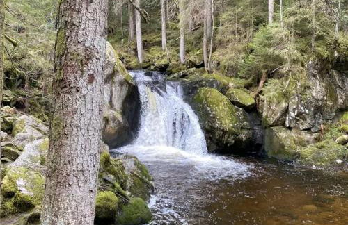 Haus Sonnenschein an der Skipiste - Foto 28