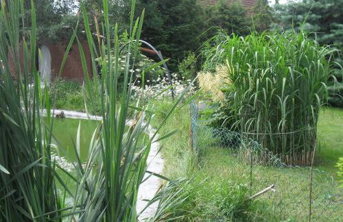 Zimmer und Apartment Rosi - Foto 59