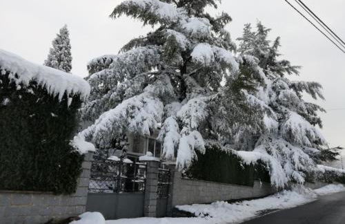 Villa Aurelia - Casa de campo con jardín y piscina entre Madrid y Segovia - Photo 51