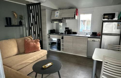 Joli Bungalow 464, 4-6 pers, wifi, terrasse, Camping Siblu Lac des Rêves Lattes - Foto 2