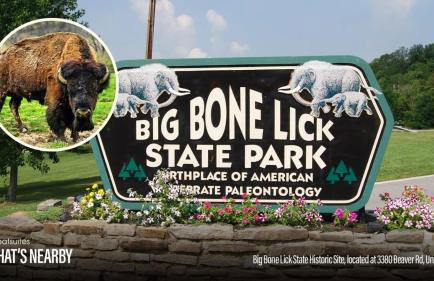 Country Lodge for 18, With Pool and Pond, Near Ark - Foto 34