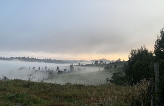 El Respiro de La Colina - Foto 33