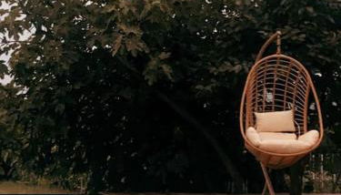 Souto Guimarães Country House - Foto 2