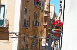 Fico D'India - Foto 1