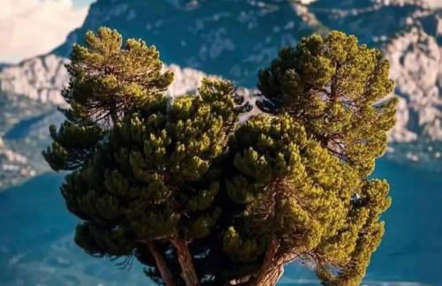 Casa Sole e Mare - Foto 47