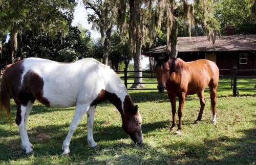 Red Bird Ranch - Private 140 acre Ranch Sleeps 12 - Foto 10