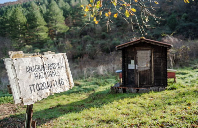 Il Capriccio del Papa - Photo 66