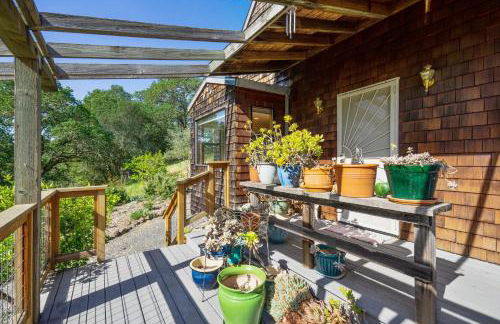 Healdsburg Home with Magnificent Vineyard View home - Foto 35