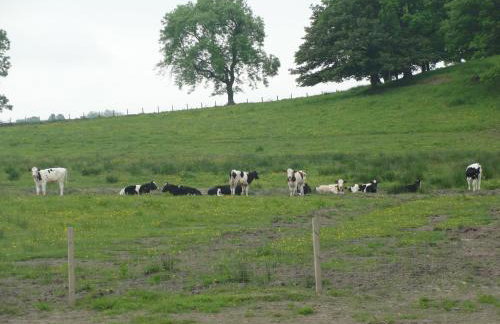 Dunroamin Apartment - Foto 47