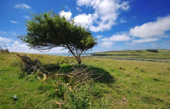 Wendy House - Foto 30