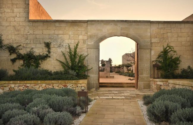 Masseria Corte degli Aromi - Foto 58