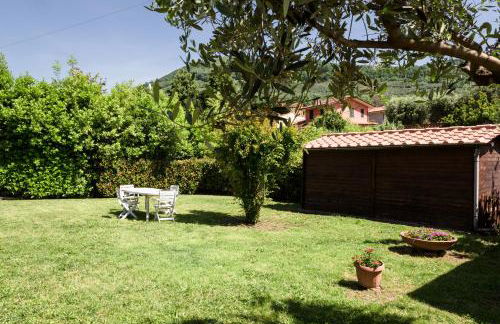 Il gatto e la volpe 1 - Foto 8