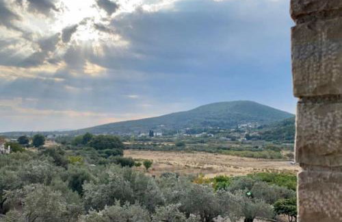 Villa Vlamari - Photo 11