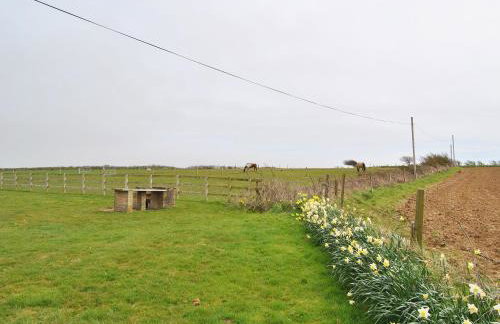 Cherry - 28556 - Photo 11