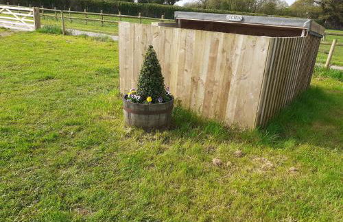 Glamping in Wiltshire in our luxury Shepherds Hut - Foto 26