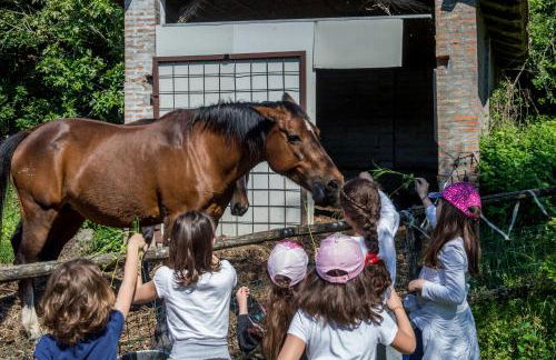 La Cartiera dei Benandanti - Foto 7