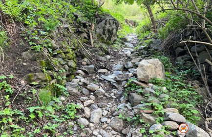 Ecobaita del Cacciatore - Foto 59