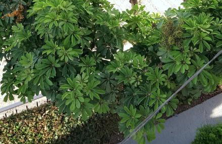 Vicky's Guesthouse - Foto 16