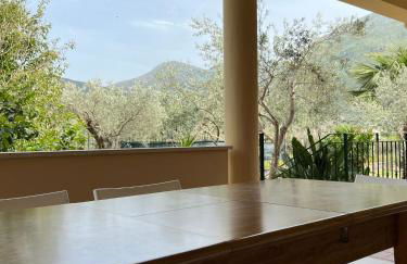 Via delle Rose - Photo 23