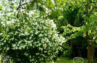 Manoir des Pavements - Photo 21