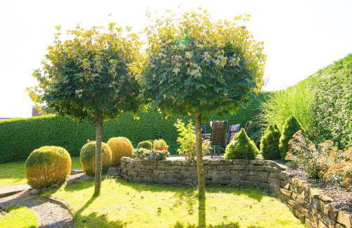 Holzhaus Hubertus mit Sauna und Kamin - Foto 28