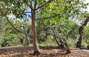 Mount Etna Chalet - Foto 28