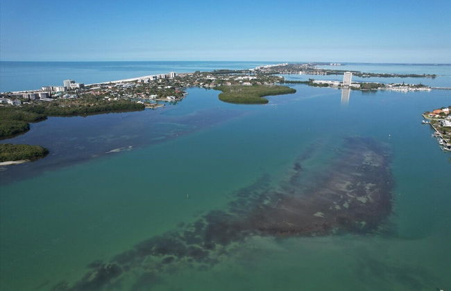 503 Laurel rd w - Foto 42