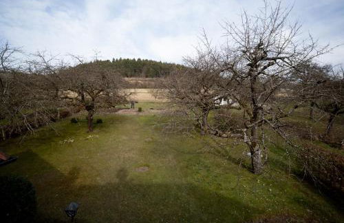 Gästehaus Heintz - Photo 17