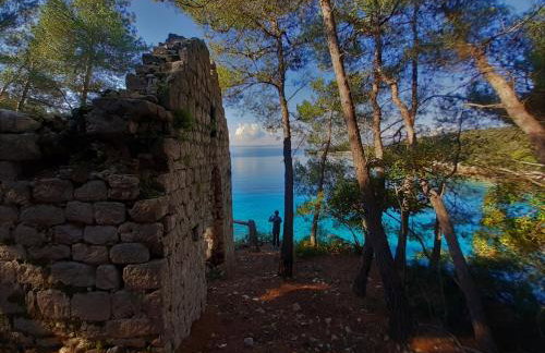 Apartmani Milena - Foto 68