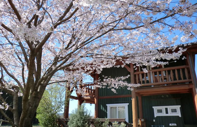 Lassy Condominium - Foto 32