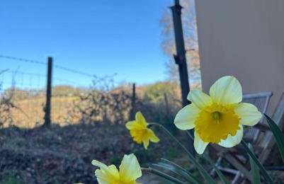 Dolmans Retreat - Photo 22